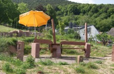 Sitzgruppe in der Pfalz  1 